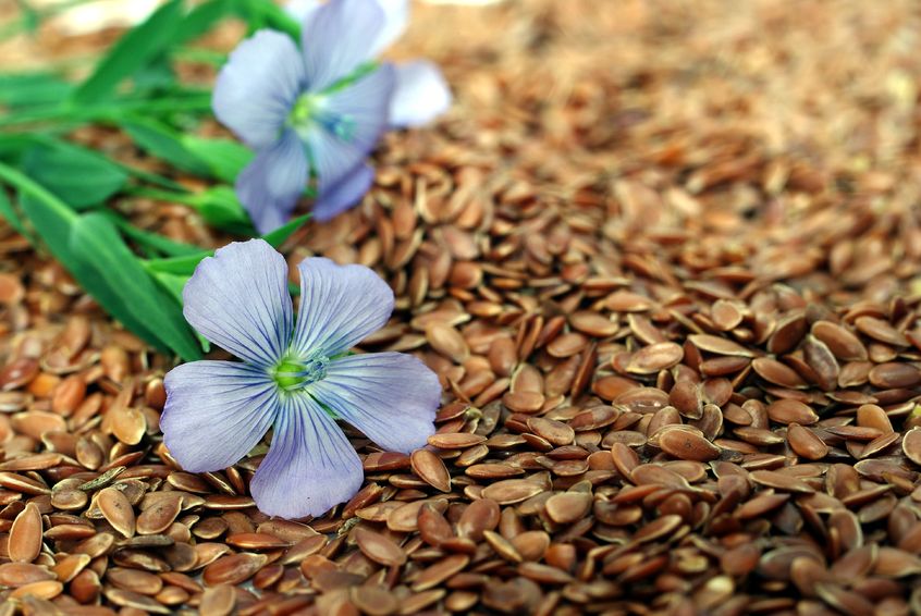 Flax Seeds and Hormones